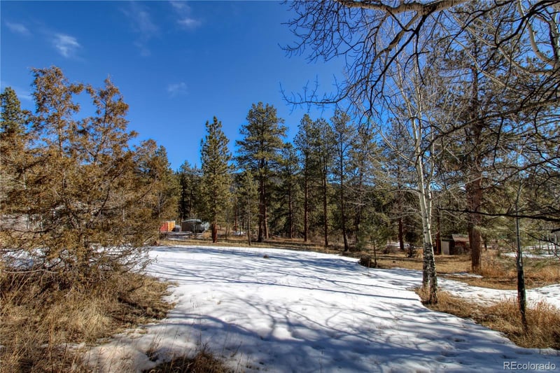 12362 Polly Dr, Pine, CO 80470