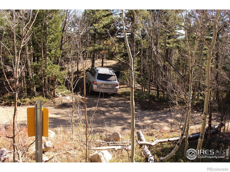 509 Forest Service, Jamestown, CO 80455