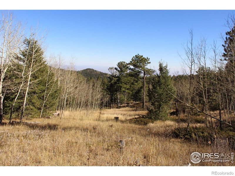 509 Forest Service, Jamestown, CO 80455