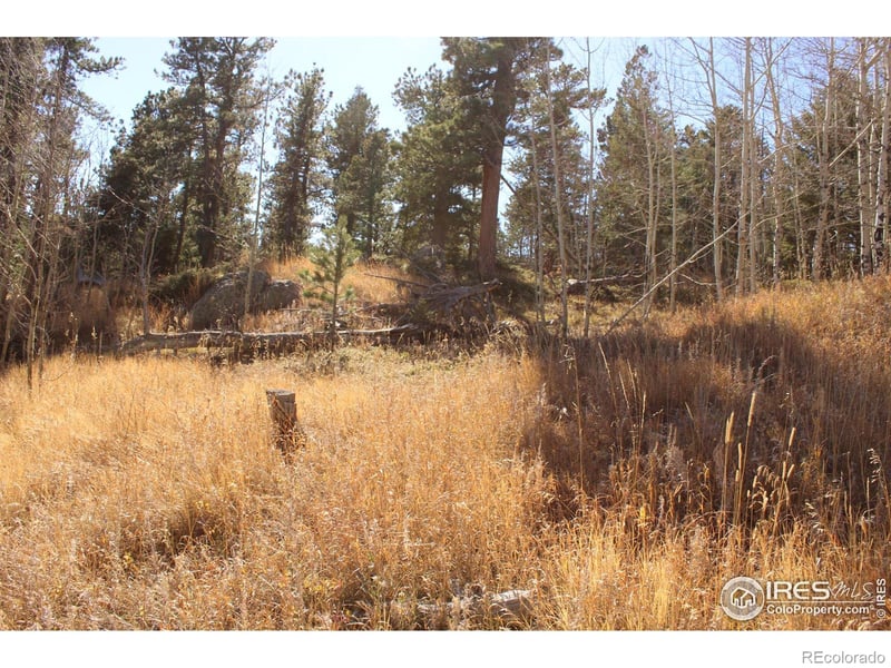 509 Forest Service, Jamestown, CO 80455