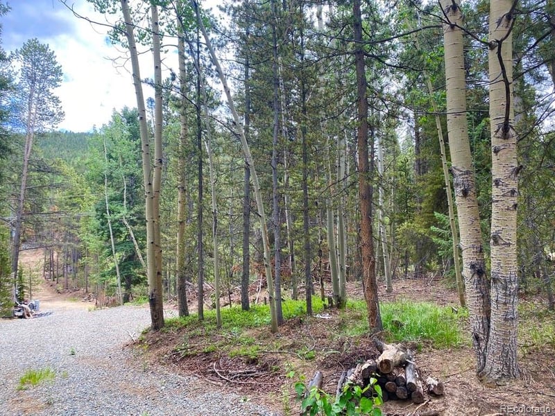 001 Virginia Canyon Rd, Central City, CO 80427
