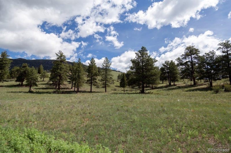 385 Cliff View Dr, Creede, CO 81130
