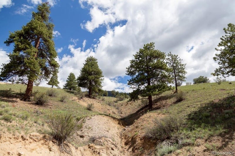 385 Cliff View Dr, Creede, CO 81130