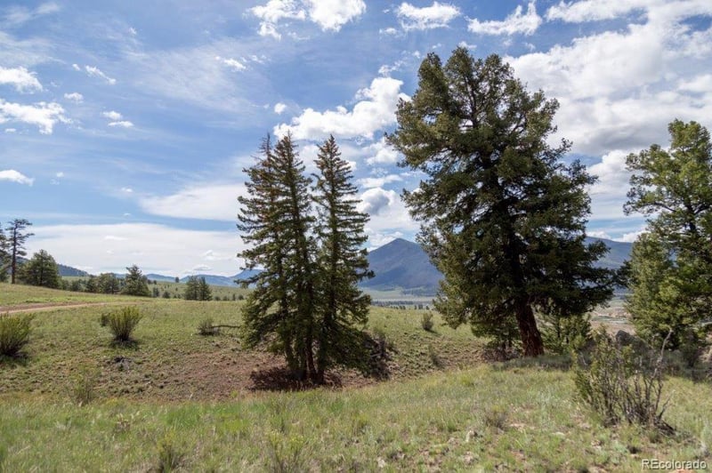 385 Cliff View Dr, Creede, CO 81130