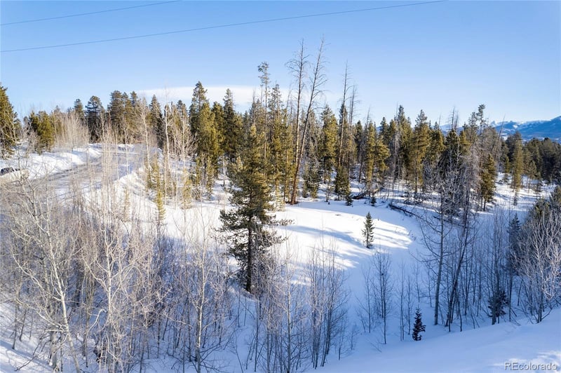 74 S Frosty Dr, Fraser, CO 80442