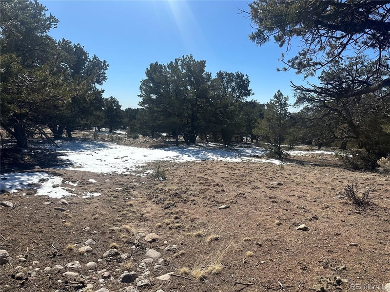 1223 Brookview Way, Crestone, CO 81131