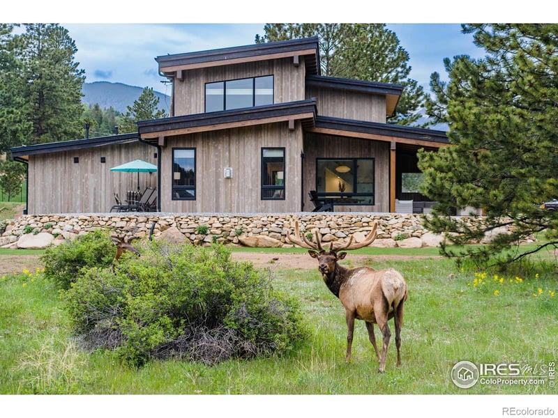 2774 Ypsilon Cir, Estes Park, CO 80517