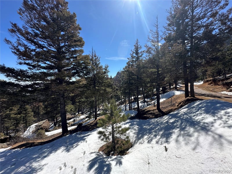 91 Ponderosa, Manitou Springs, CO 80829