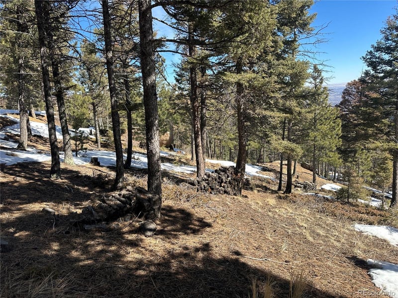 91 Ponderosa, Manitou Springs, CO 80829