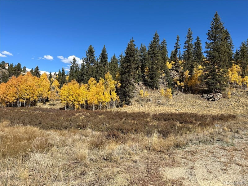 2092 Stagestop Rd, Jefferson, CO 80456