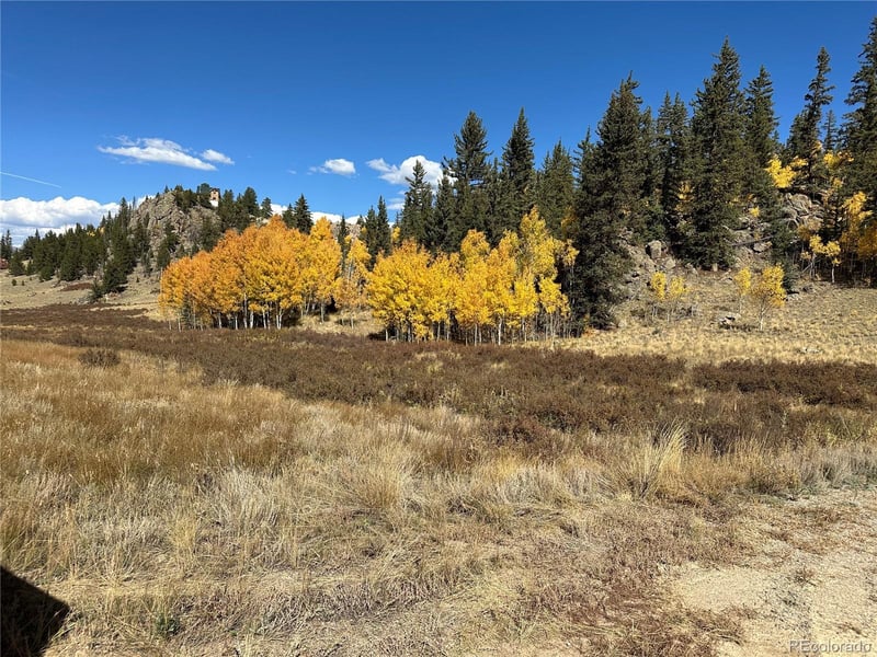 2092 Stagestop Rd, Jefferson, CO 80456