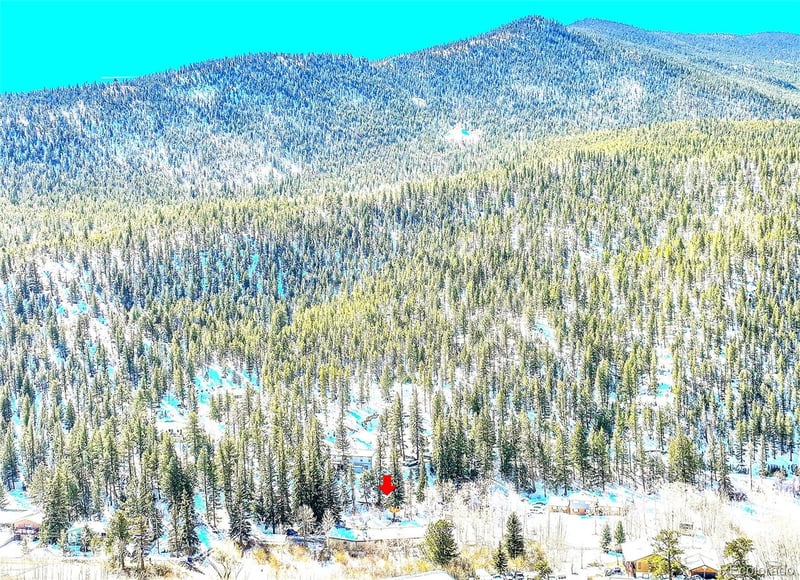 436 Silver Lakes Dr, Dumont, CO 80436