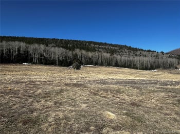 2354 Benton Pl, Fort Garland, CO 81133