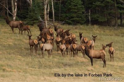 2354 Benton Pl Lot 2354, Fort Garland, CO 81133