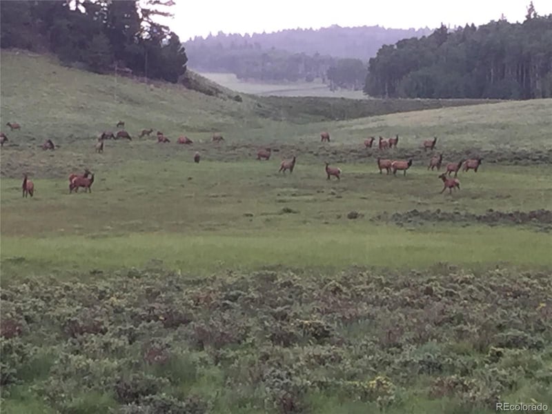 2354 Benton Pl Lot 2354, Fort Garland, CO 81133