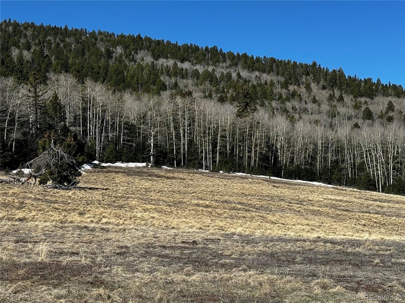 2354 Benton Pl Lot 2354, Fort Garland, CO 81133