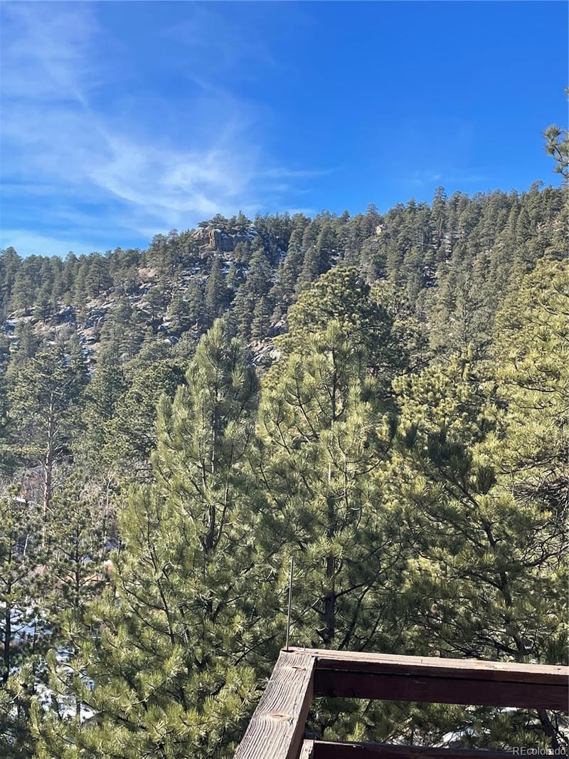 138 Loveland Heights Ln, Drake, CO 80515