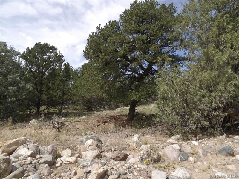 2842 Carefree Way, Crestone, CO 81131