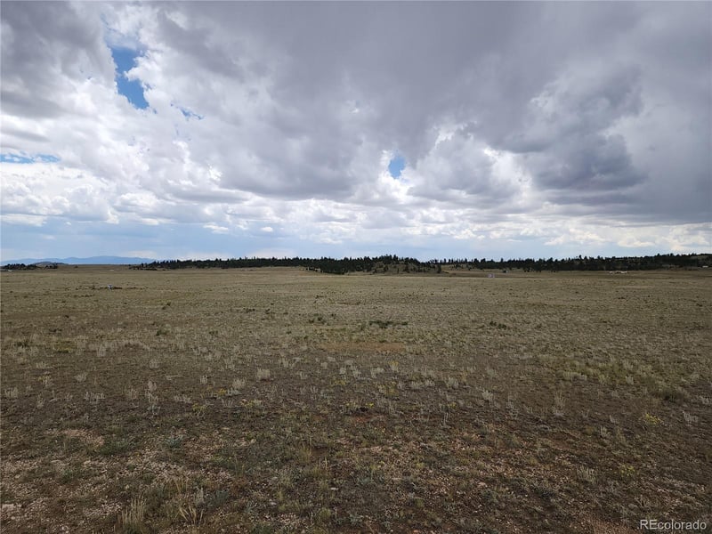 878 Cheyenne Trl, Hartsel, CO 80449