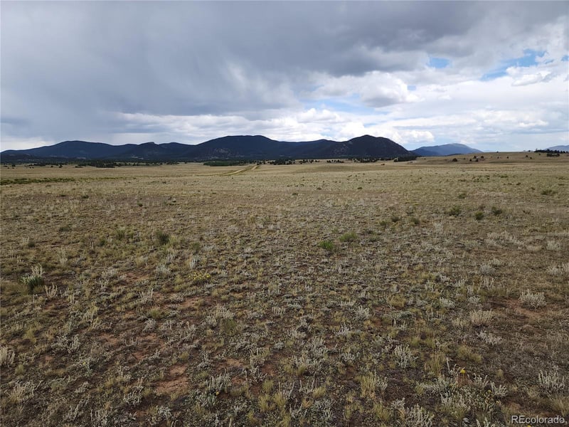 878 Cheyenne Trl, Hartsel, CO 80449