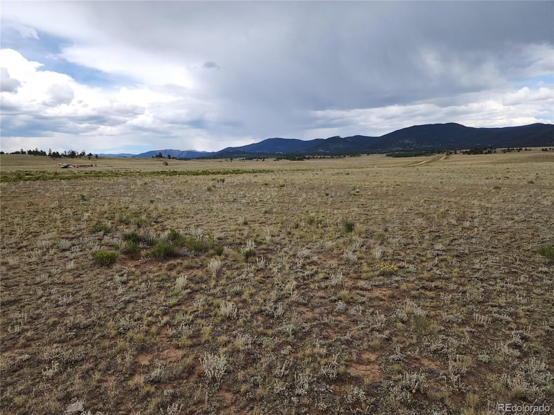 878 Cheyenne Trl, Hartsel, CO 80449