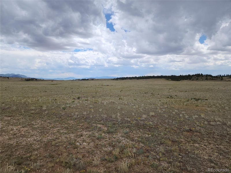 878 Cheyenne Trl, Hartsel, CO 80449