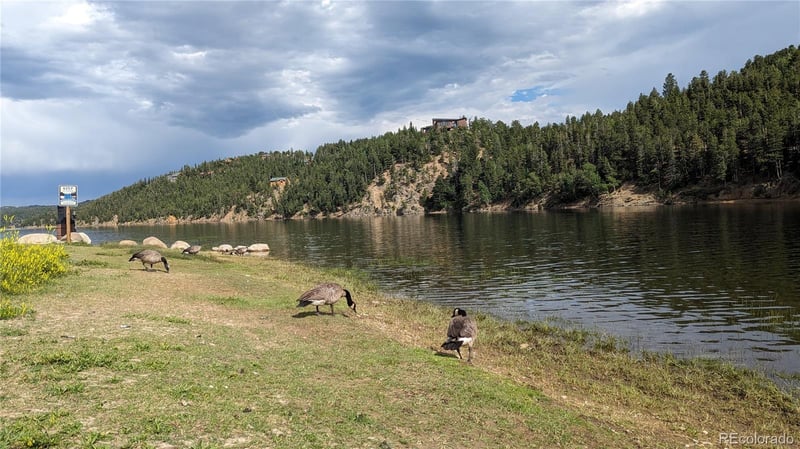 248 Alpine Dr, Nederland, CO 80466