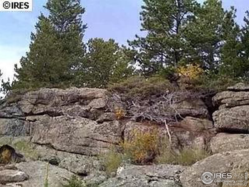 98 Crestridge Rd, Jamestown, CO 80455