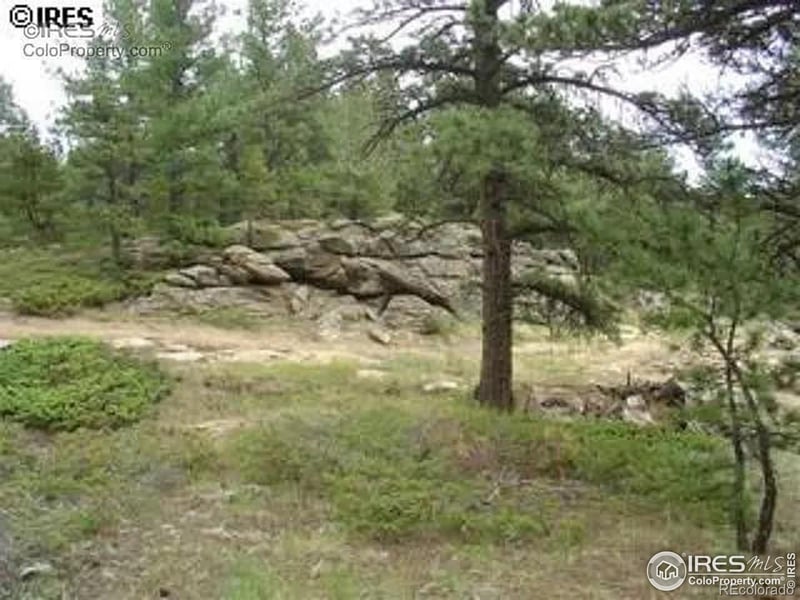 98 Crestridge Rd, Jamestown, CO 80455