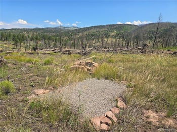 695 Cogbill Dr, Fort Garland, CO 81133