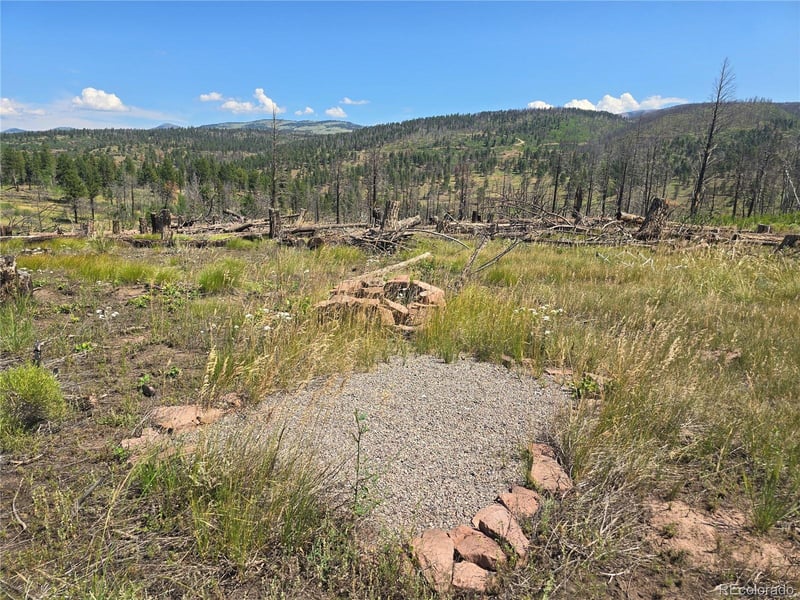 695 Cogbill Dr, Fort Garland, CO 81133