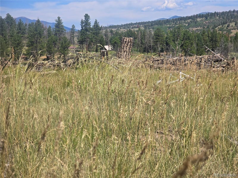 695 Cogbill Dr, Fort Garland, CO 81133