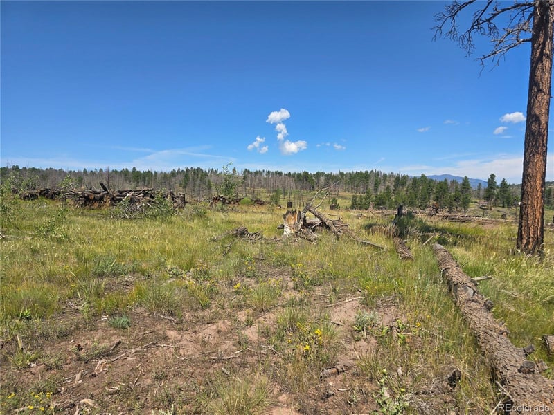 695 Cogbill Dr, Fort Garland, CO 81133