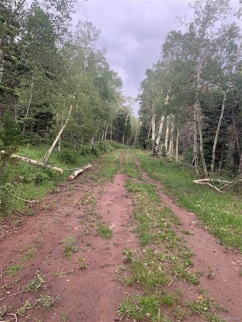 2952 Larry Pl, Fort Garland, CO 81133