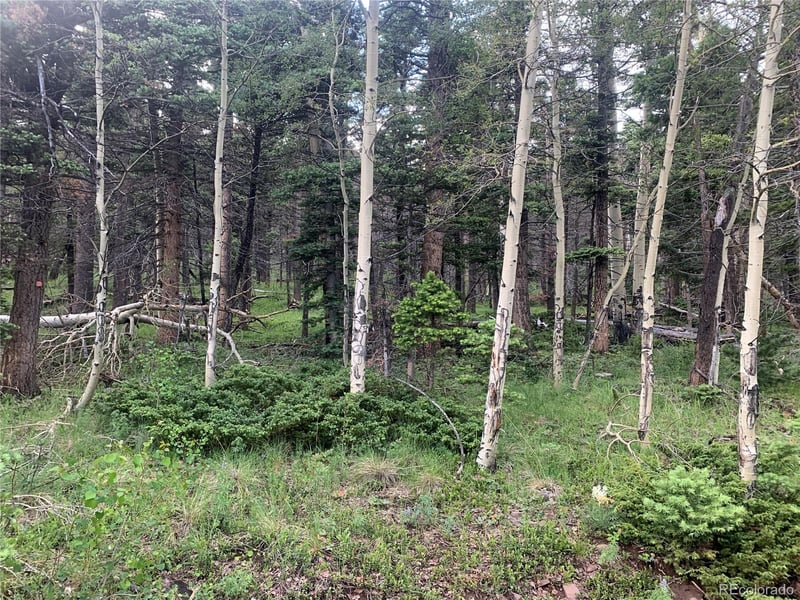 2952 Larry Pl Lot 2952, Fort Garland, CO 81133