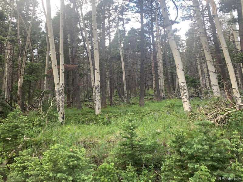 2952 Larry Pl Lot 2952, Fort Garland, CO 81133