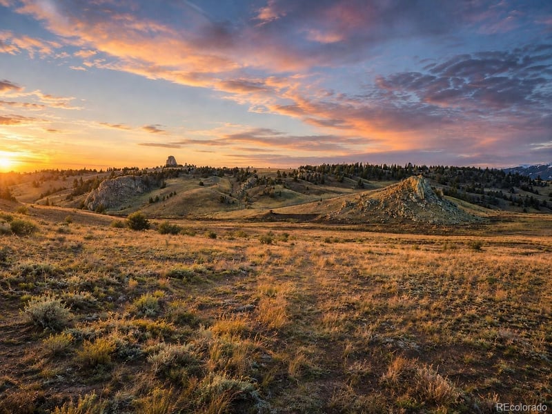 2017 Travois Rd, Jefferson, CO 80456