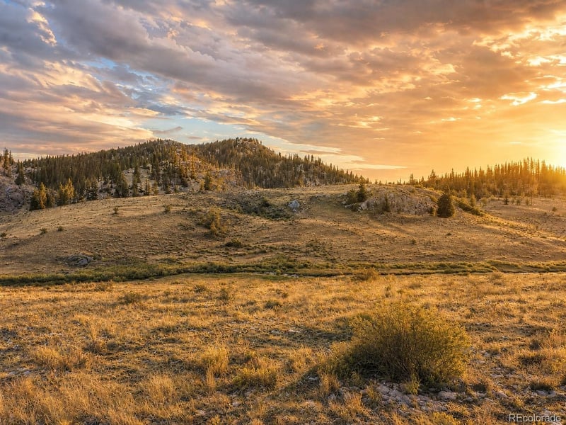 2017 Travois Rd, Jefferson, CO 80456