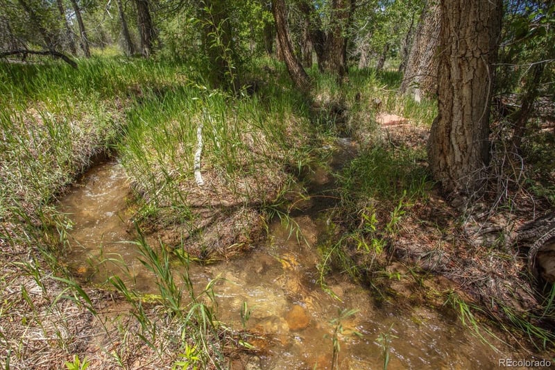 12120 County Road 263, Nathrop, CO 81236
