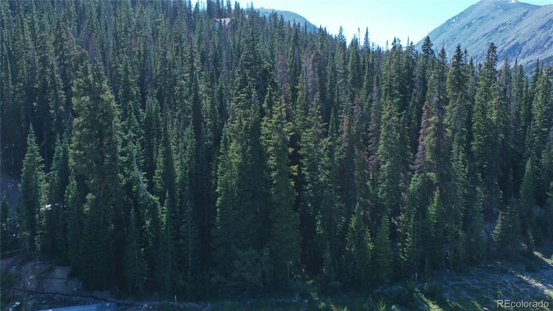 127 Cr 805 Lot 41, Breckenridge, CO 80424