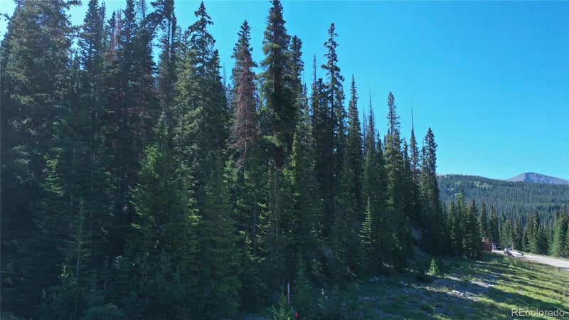 127 Cr 805 Lot 41, Breckenridge, CO 80424