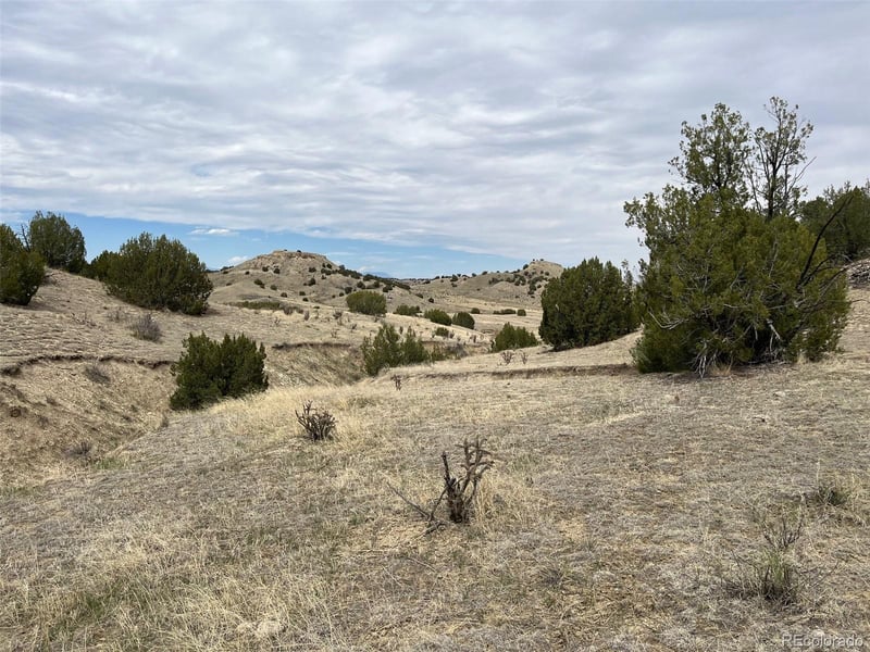 00 Black Horse Dr, Pueblo, CO 81004
