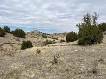 00 Black Horse Dr, Pueblo, CO 81004