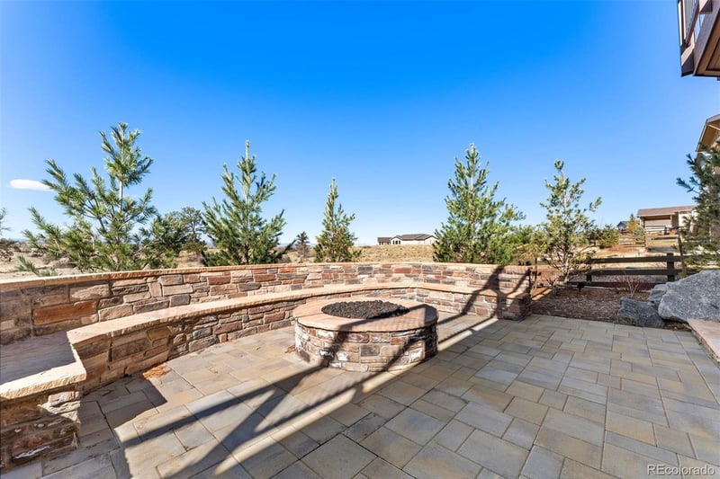 11595 Petina Point, Parker, CO 80138