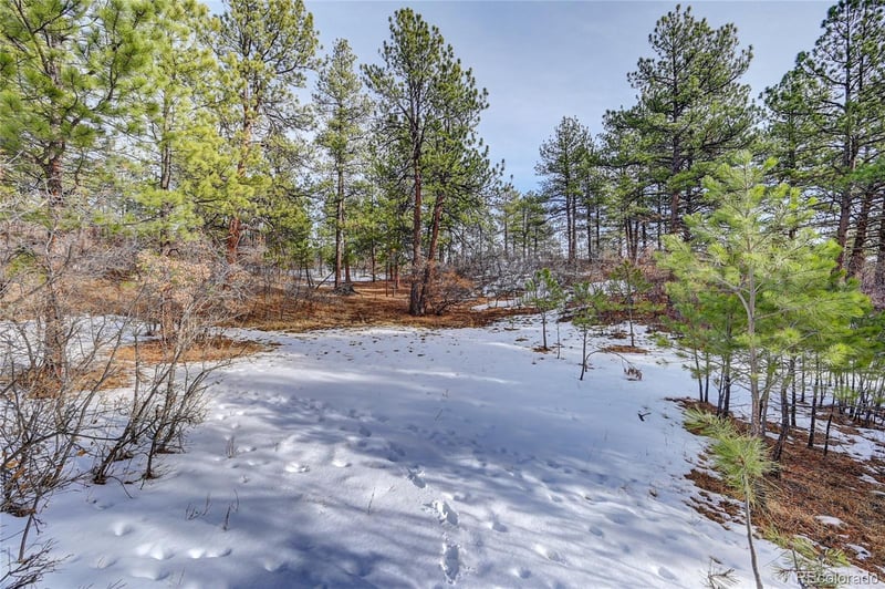 665 Poncho Rd, Larkspur, CO 80118