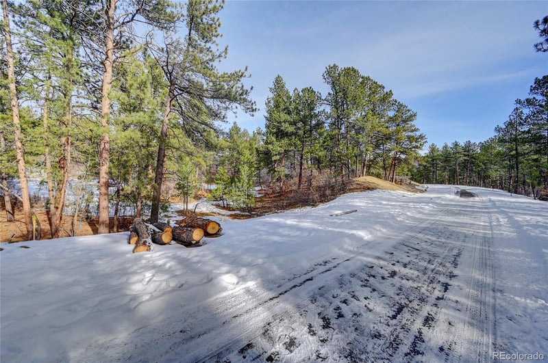 665 Poncho Rd, Larkspur, CO 80118