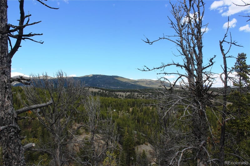 47026 Peak To Peak Hw Lot 42, Ward, CO 80481