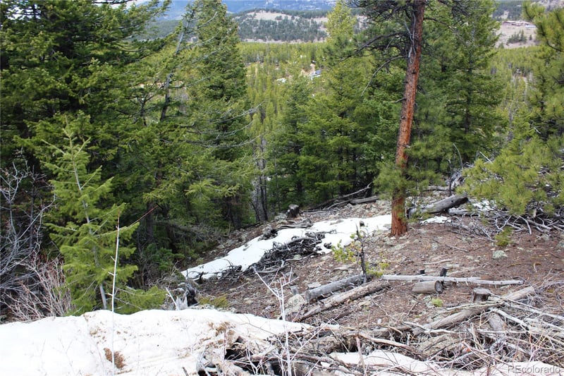 47026 Peak To Peak Hw Lot 42, Ward, CO 80481