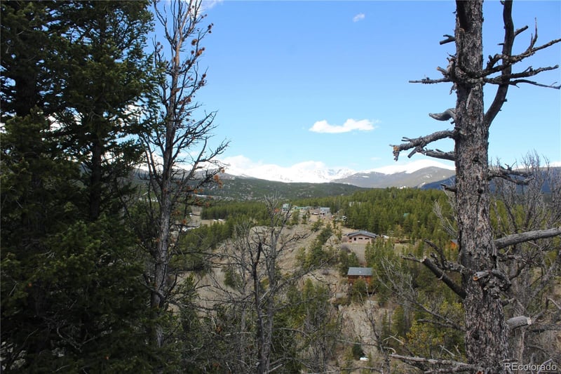 47026 Peak To Peak Hw Lot 42, Ward, CO 80481