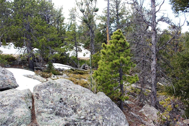 47026 Peak To Peak Hw Lot 42, Ward, CO 80481